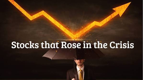 Own These 5 Stocks? They Rose in a Falling Market